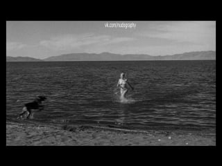 С собакой на пляже мэрилин монро (marilyn monroe) в фильме "неприкаянные" (the misfits, 1961, джон хьюстон) 1080p