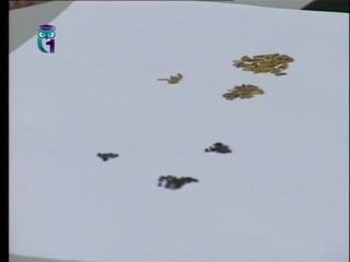 Урок 2 динамика популяций кривые выживания