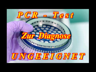 Urteil portugiesisches berufungsgericht hält pcr tests für unzuverlässig und hebt quarantäne auf