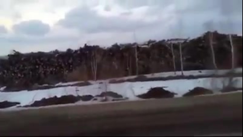 Русским нечем печку топить, а китайцы жируют!