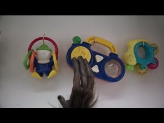 Mtn dew kickstart mountain dew “rattle” teaser 2