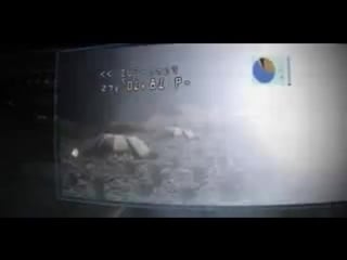 Concord dawn man for all seasons