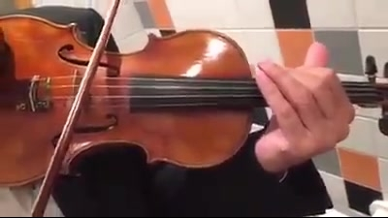 Скрипач