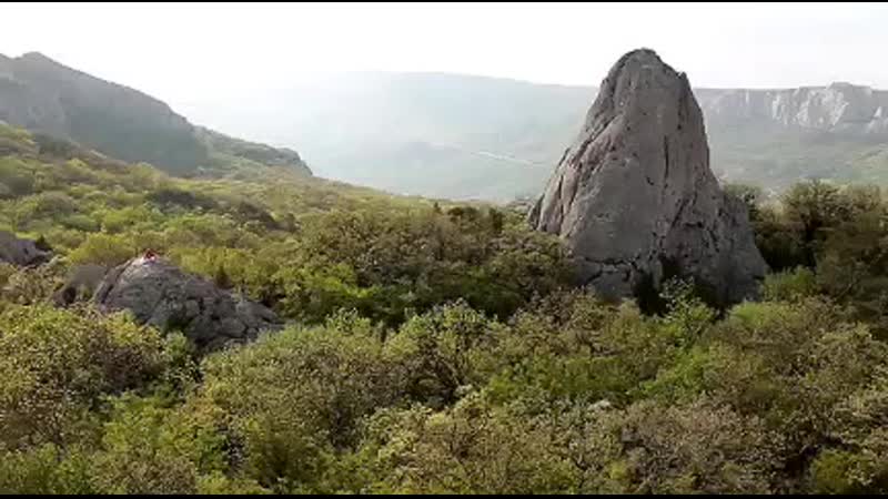 Светозар, аура мира мне бы лететь