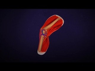 7 harmful things flying does to your body