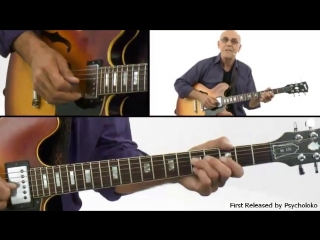 Truefire larry carlton's 335 motifs (2015)