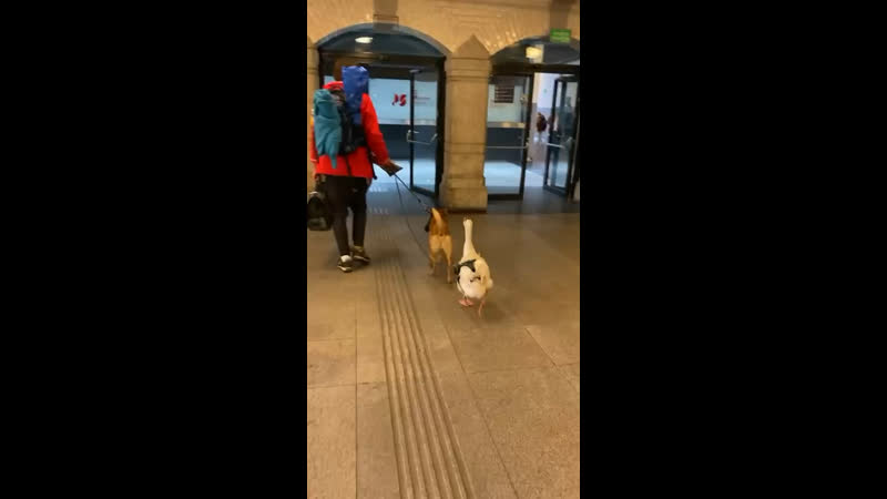 Так много вопросов и так мало ответов 🤔