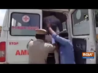 Watch tn police put lockdown violators in ambulance with fake covid mp4