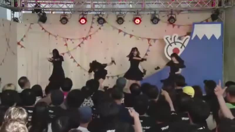 Toricago mini tif 25/05/2019