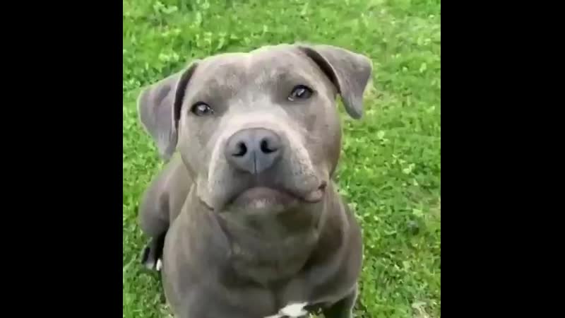 Двойное нажатие лючает режим
    молодые улыбка