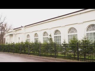 Лого настя mp4