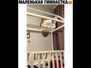 Акробатка растёт