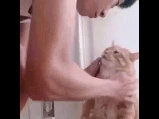 И не забудь купить сосиски!)