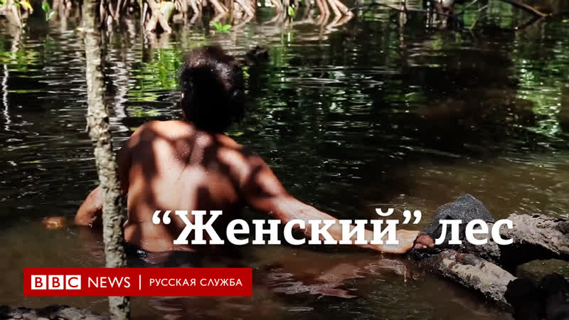 Мужчинам вход воспрещен! сакральный "женский лес" в индонезии