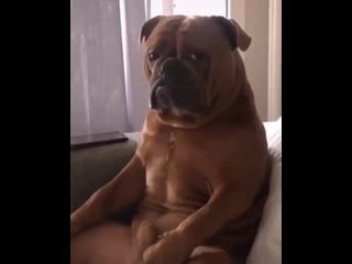 Ты обратился ко мне, но сделал это без уважения (vhs video)