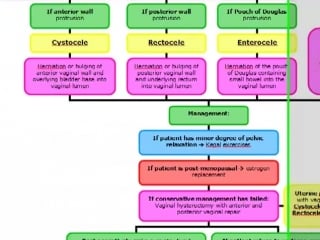 Obg vaginal and uterine prolapse