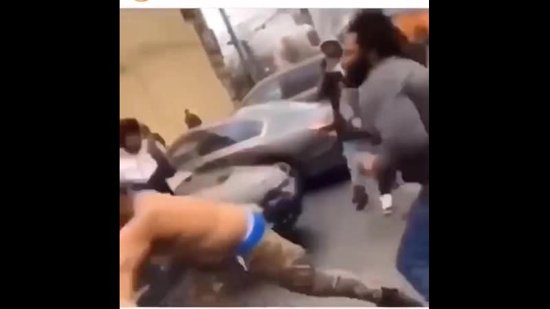 Буйволы устроили потасон