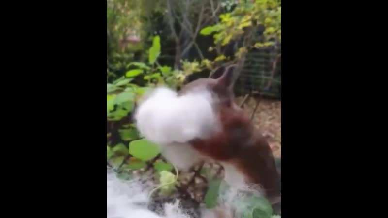 В хозяйстве пригодится (vhs video)