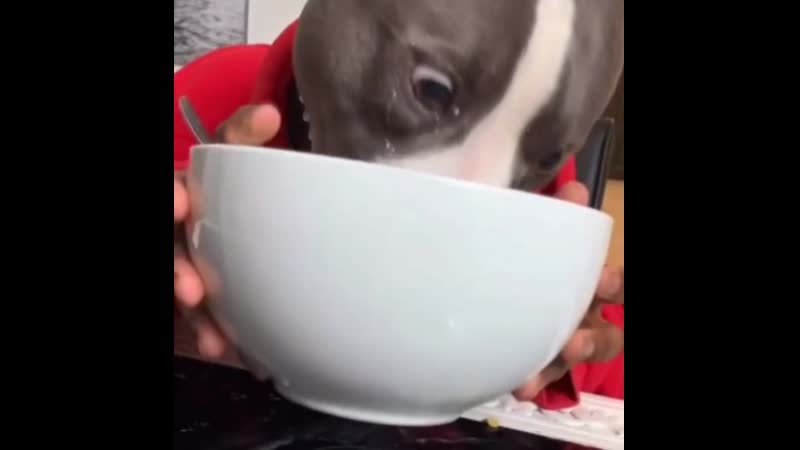 Ну их нахер эти ваши манеры