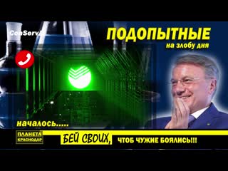 Началось принудительное вакцинирование