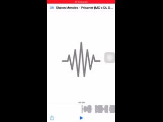 Prisoner was a shawn mendes feature