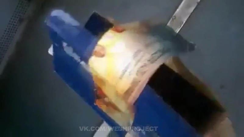 Zz cat подкинул бомбу