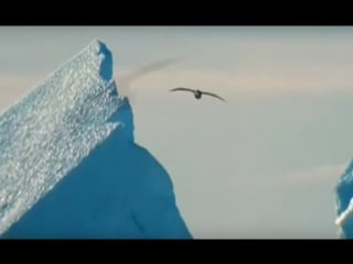 Denis simachev chukotka video