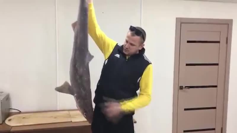 Очередная показуха, помог сироте добраться до бабушки