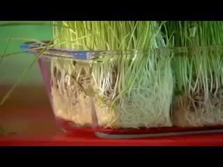 Trim 20200131 104933 mp4