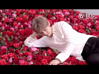 [video] luhan x loccitane rose collection cf behind the scenes