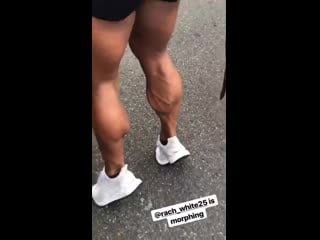 Rach white veiny calves