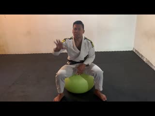 Bjj solo drills stability ball #bjf drills