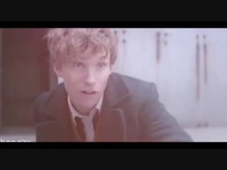 Fantastic beasts vine ▸ newt scamander x tina goldstein ▸ newtina