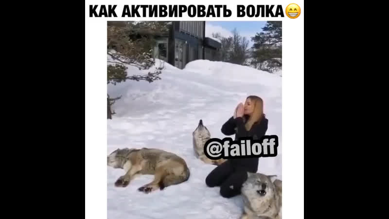 Как активировать волка
