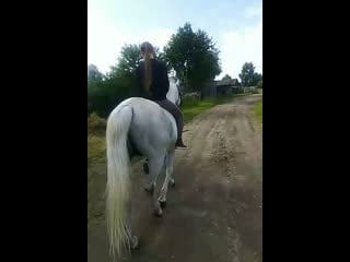 Гуляю с конем (парнем)