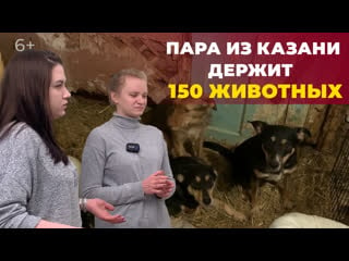 Мини приют для бездомных молодые как две хрупкие девушки спасли более 150 кошек и секс