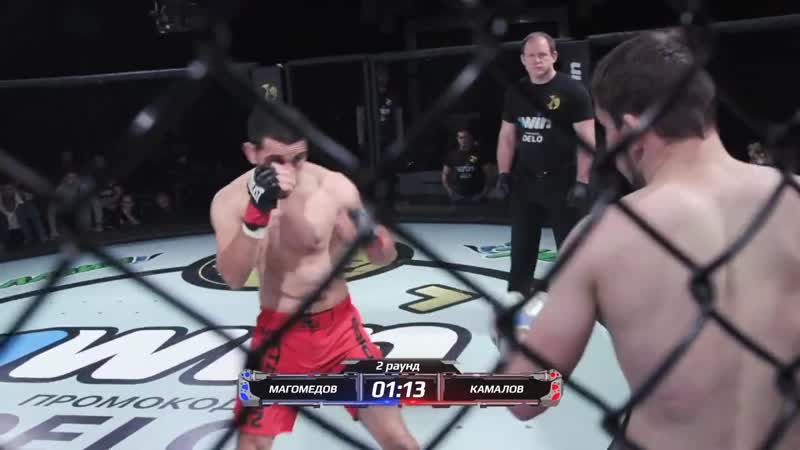[kimchi mma] "я готов в очередь за командой чоршанбе" саша стоун / полный обзор