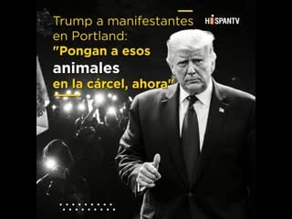 Trump llama “animales” a manifestantes en portland