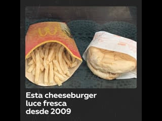 La última cheeseburger de mcdonalds en islandia se conserva desde 2009