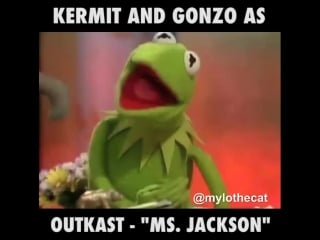 Kermit and gonzo perform the outkast classic, “ms jackson” video by mylo the cat aka isthishowyougoviral