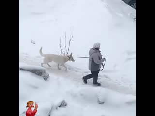 Чмокнул в щечку