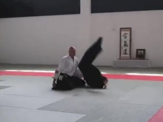 Aikido seminar with thorsten schoo sensei at jikishin dojo auckland