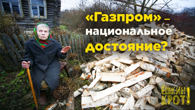 Почему граждане великой нефтегазовой державы топят дома дровами?
