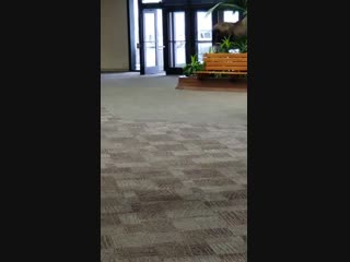 Elk had lunch at a hospital in alaska