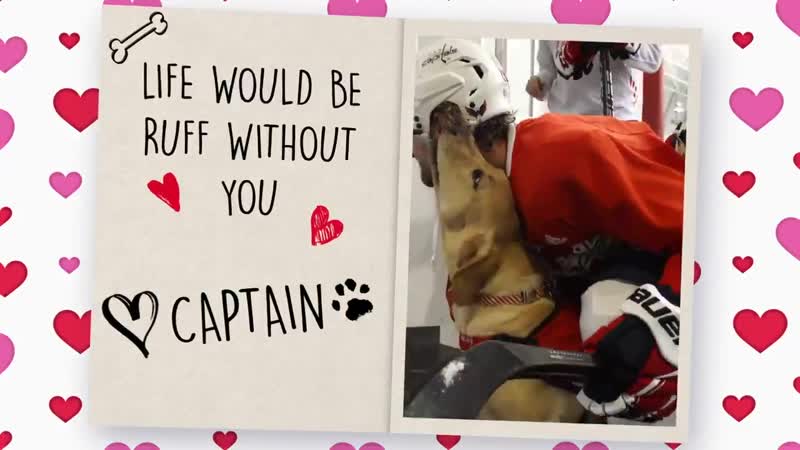 Happy vday to my furrrever valentines capitals