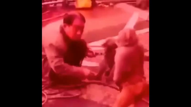 Дарвин был прав