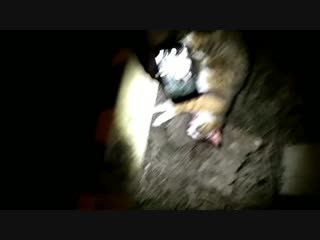 20190202 193226 edited mp4