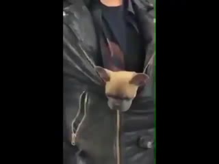 Riverdale//pretty poisons//#edit6