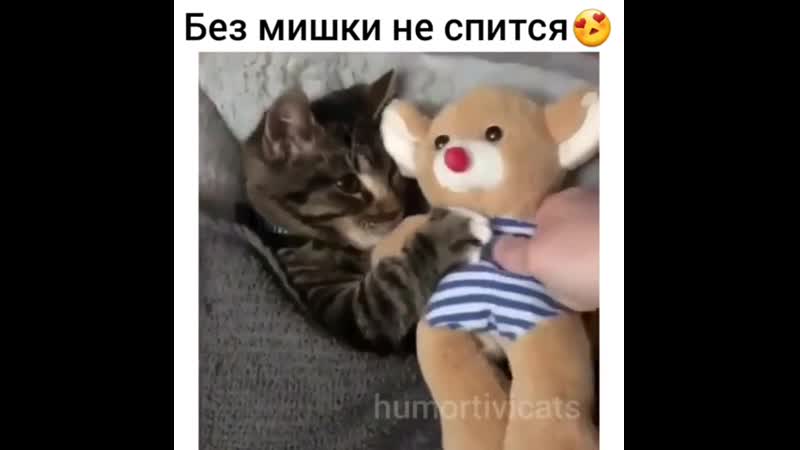 Спится porn video – Без мишкаи не спится
