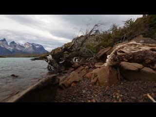 Estas tonne internal flight